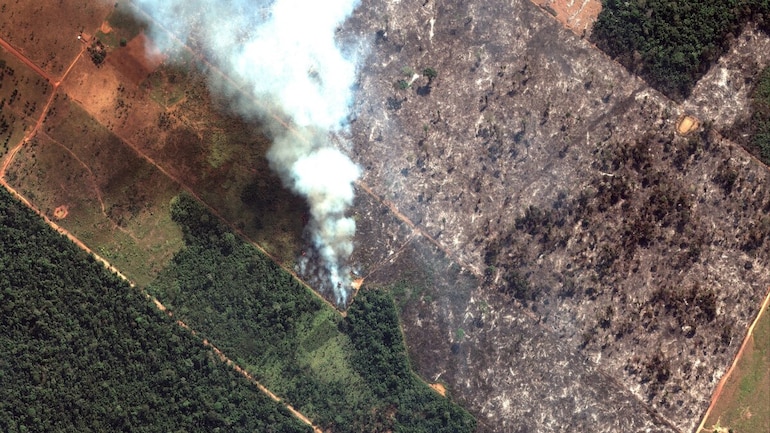 Amazon Rainforest Fire Lungs Of Our Planet Burning With 99 Fires Started By Humans Education Today News Amazon Rainforest Fire Lungs Of Our Planet Burning With 99 Fires Started By Humans Education Today News