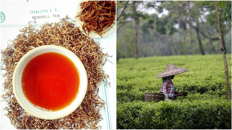 Sweet Chai Of Mine Guwahati Tea Sells For Rs 75 000 For 1 Kg India News