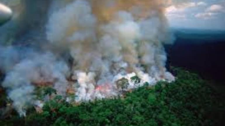 Amazon Rainforest Fires May Be Record Setting Nasa World News Amazon Rainforest Fires May Be Record Setting Nasa World News