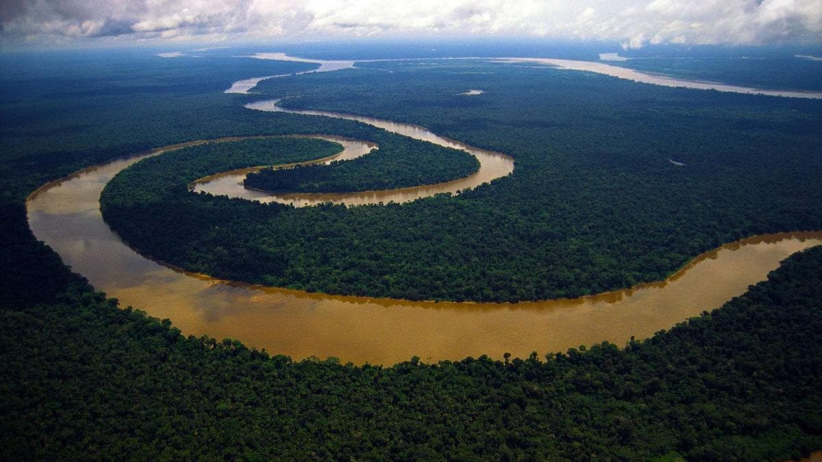 15 Incredible Facts About Amazon Rainforest The Lungs Of The Planet Which Provide Of Our Oxygen Education Today News 15 Incredible Facts About Amazon Rainforest The Lungs Of The Planet Which Provide Of Our Oxygen Education Today News