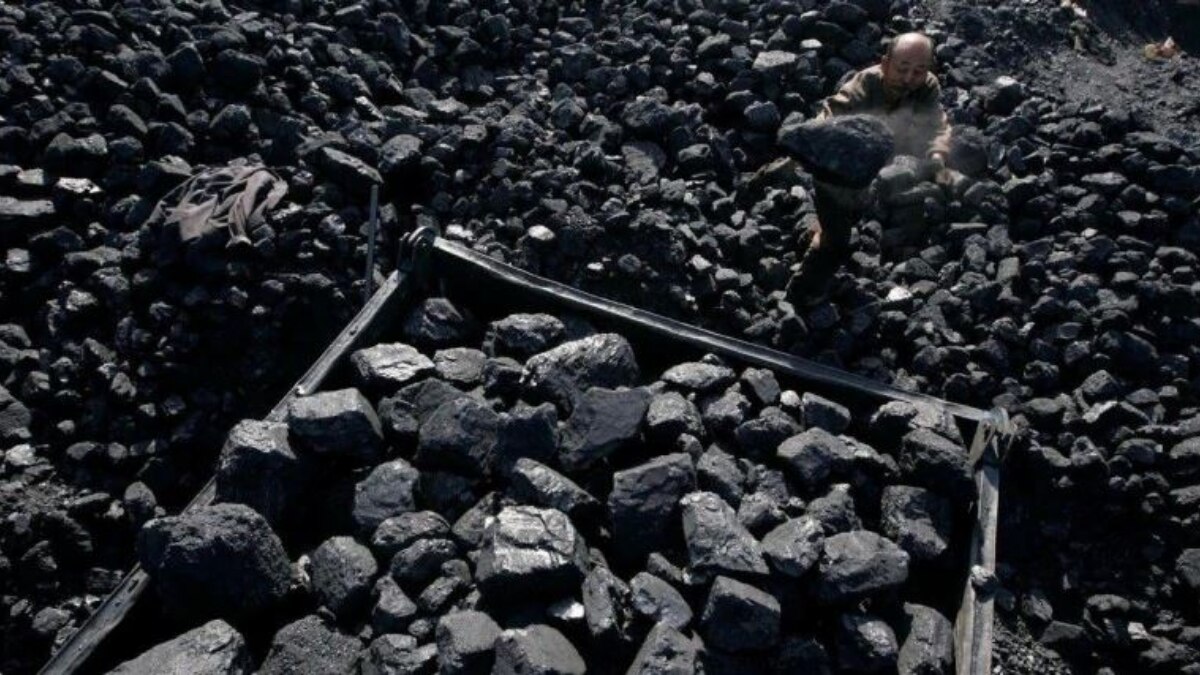 No reduction in coal consumption anytime soon, says govt