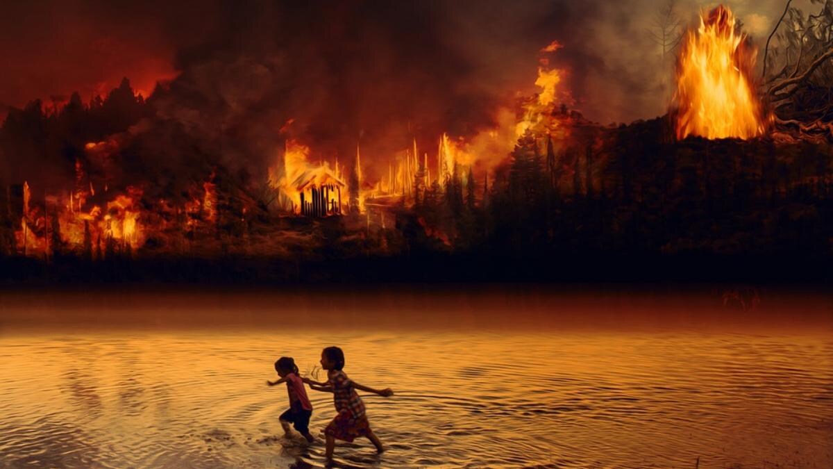 Burning Amazon Rainforest What We Parents And Children Need To Know Education Today News Burning Amazon Rainforest What We Parents And Children Need To Know Education Today News