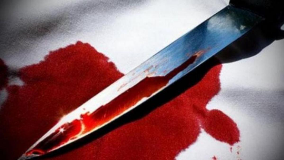 Factory worker stabs woman colleague before attempting suicide