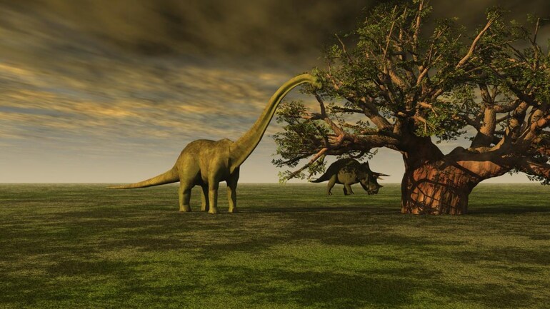 New Mass Extinction 260 Million Years Ago Uncovered Brings Total Past Extinction Events To 6 Education Today News