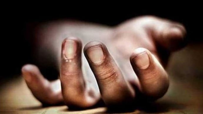 Goa: Woman artist killed, suspect gardener dies in escape bid