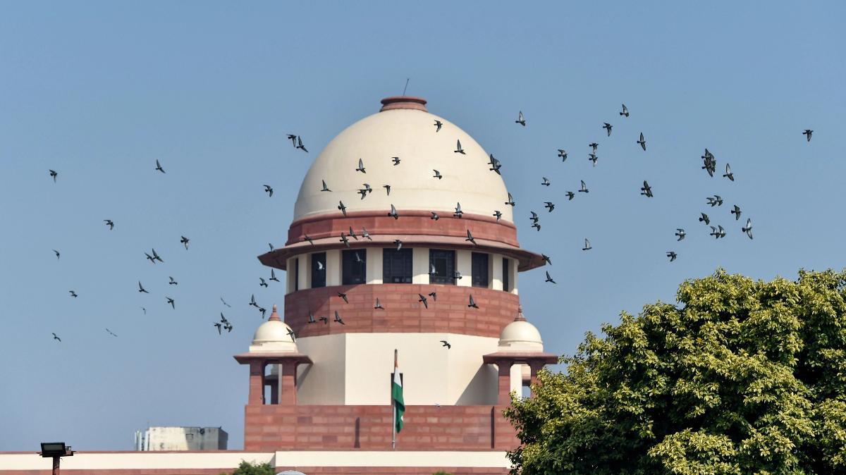 SC referred to books in Sanskrit, Urdu, Persian, French in Ayodhya verdict