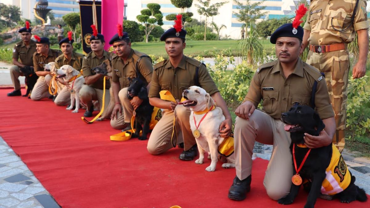 7 canines retire from CISF after completing successful tenure - India Today