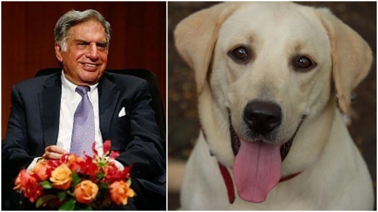Ratan Tata shares adoption post for an abandoned dog