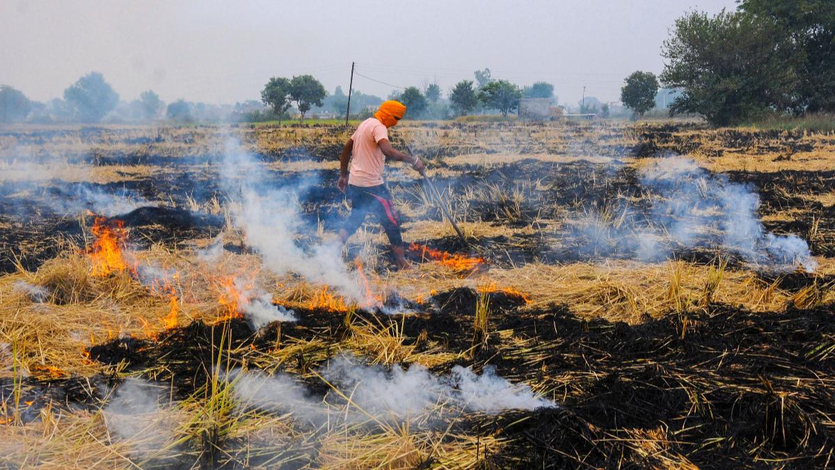 Give machines to UP, Punjab, Haryana famers to check stubble burning: PM Modi to agriculture ministry