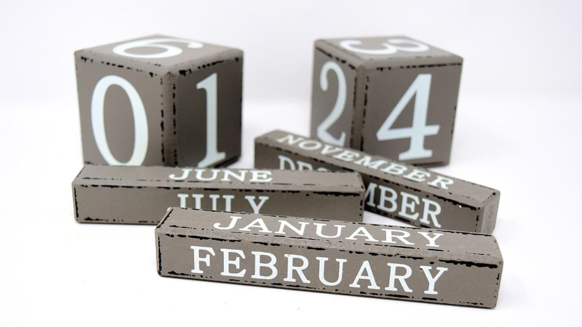 List Of Holidays In February 2020 Information News Holiday On Monday February 19 2022