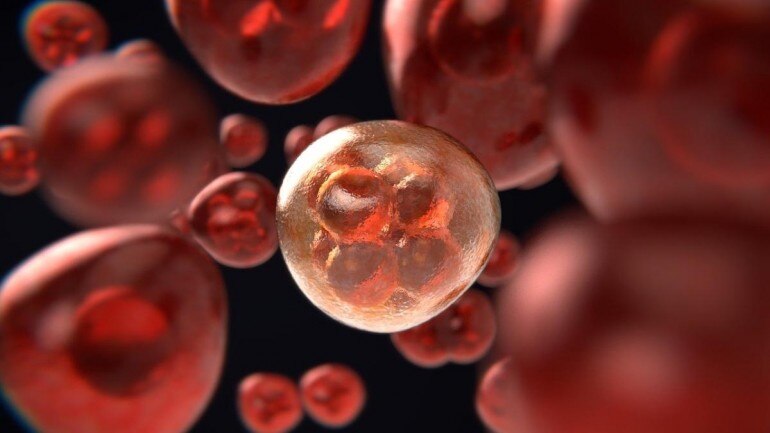 Cancer, Y chromosome, men more prone to cancer Cancer, Y chromosome, men more prone to cancer