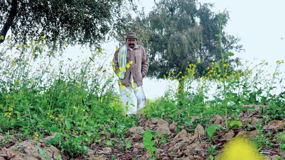 The Killing Fields States News Issue Date Feb 24 The Killing Fields States News Issue Date Feb 24