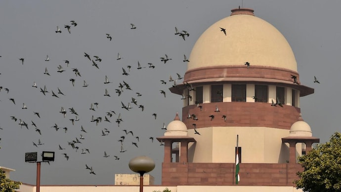 Publish details of candidates' criminal history on website, SC tells parties