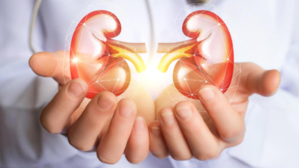 World Kidney Day 2020: All you need to know - Information News