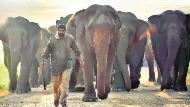 Rana Daggubati in Kaadan.