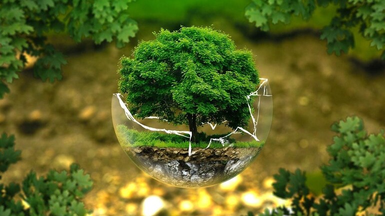 International Day Of Forests Interesting Forest Quotes To Help You Appreciate The Importance Of Nature Information News International Day Of Forests Interesting Forest Quotes To Help You Appreciate The Importance Of Nature Information News