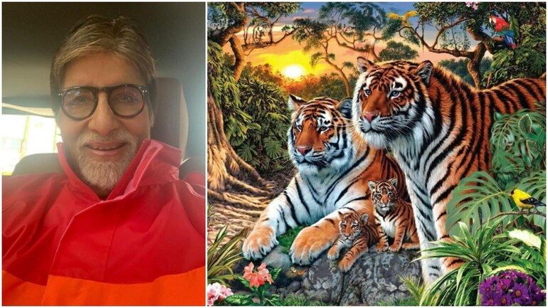 Can You Count The Number Of Tigers In This Viral Optical Illusion Amitabh Bachchan Makes A Guess Trending News News