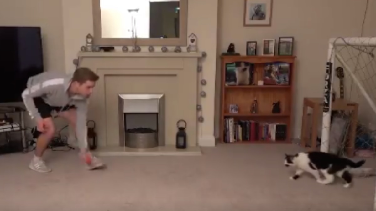 Cat Showcases Incredible Goalkeeping Skills In Viral Video
