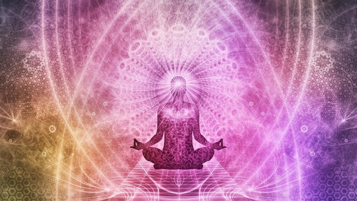 All You Need To Know About International Yoga Day 2020 Information News