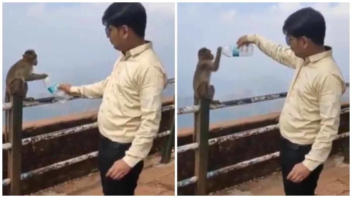 Man helps monkey drink water from bottle in viral video. Don't miss the important message