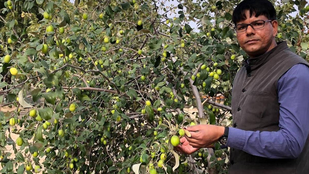 World Environment Day special: Sociology professor shyam sundar jiyani makes deserts bloom as forests in Rajasthan - India News