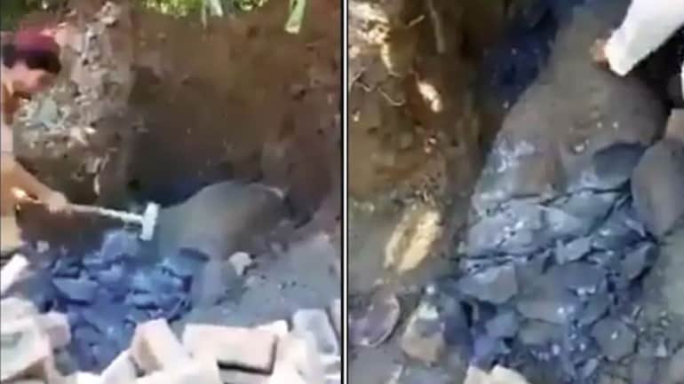 Rare Buddha statue vandalised in Pakistan nearly 1,700-year-old ...