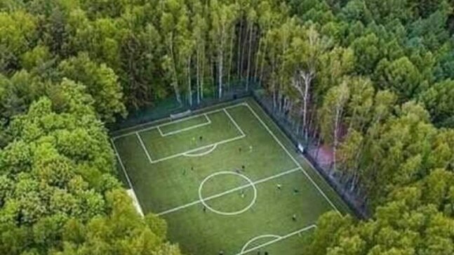 Fact Check: Stunning image of football field encircled by forests is not from India