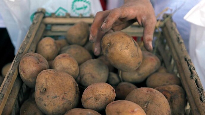 Bengal govt to ensure potato retail price for consumers at Rs 25 per kg