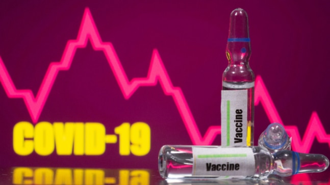 Covaxin vaccination found effective in non-human primates