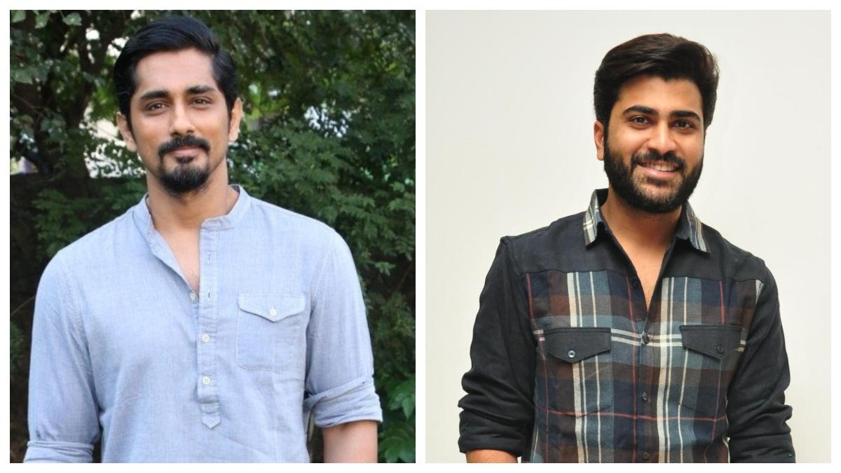 Maha Samudram: Siddharth and Sharwanand come together for Ajay Bhupathi's bilingual - Movies News