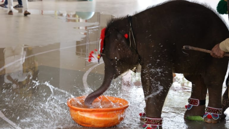 Shivani