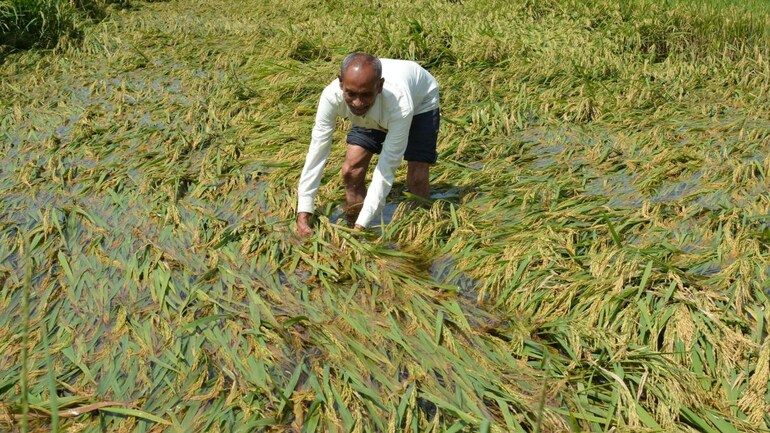 Maharashtra rain damage: Agriculture, farmers' prospects and the state economy hit - India Today Insight News