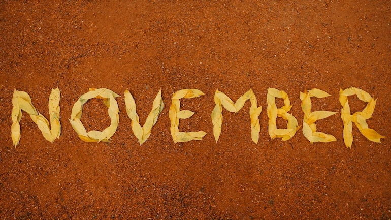 Important days in November 2020: International days, national days - Information News