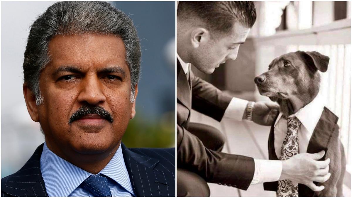 Anand Mahindra shares hilarious Work From Home post on Twitter. Viral, obviously 