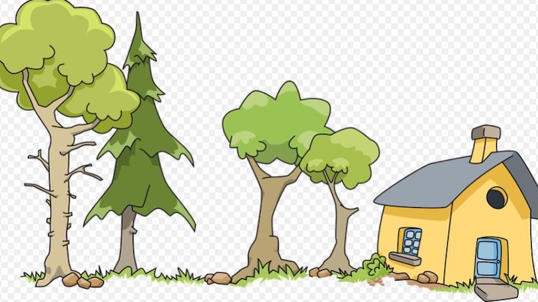 How one can deal with termite downside at dwelling