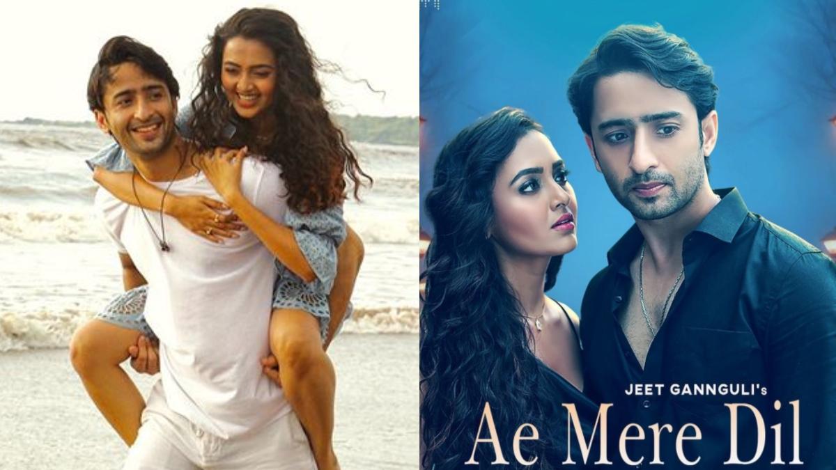 Shaheer Sheikh To Romance Tejasswi Prakash In New Music Video Ae Mere Dil Television News