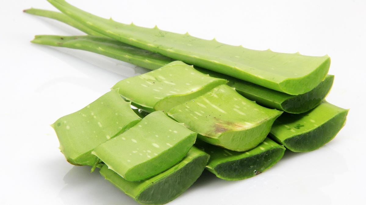 Aloe vera good top for weight loss