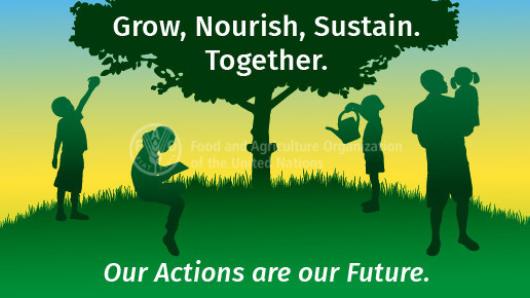 World Food Day 2020 Date Theme History And Quotes Information News