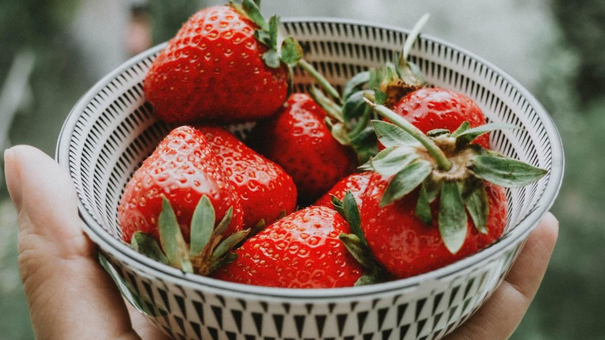 How to grow strawberries at home - Information News
