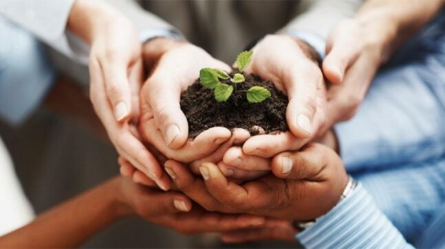 IIT Delhi is conducting cutting-edge energy research, turning India sustainable and green - Vimarsana News
