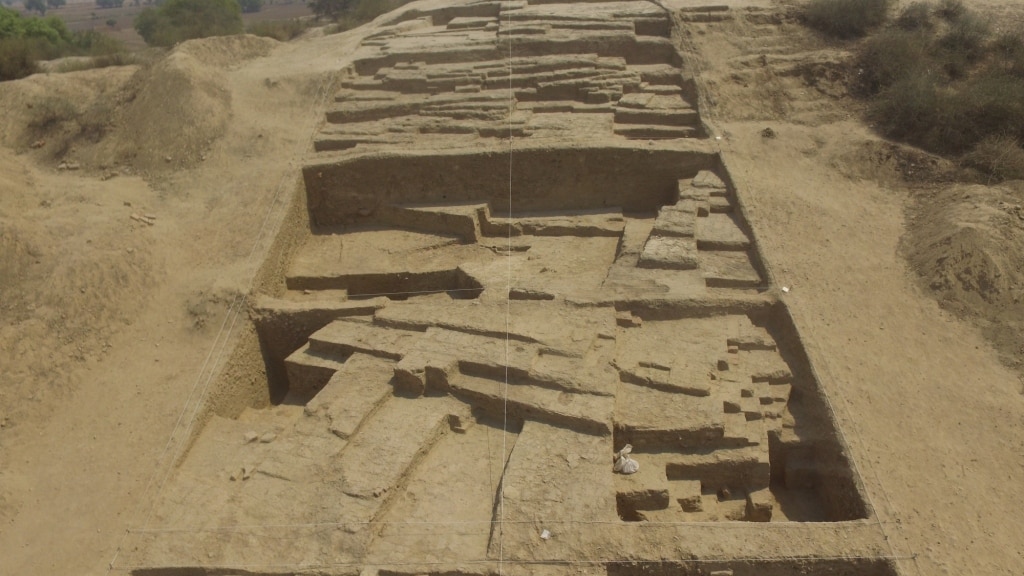 Indus Valley civilization diet had dominance of meat, finds study