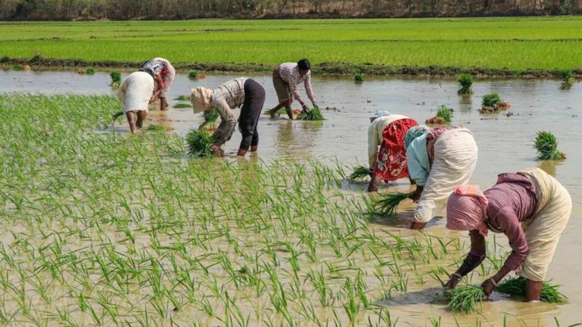 National Farmers Day 2020: Date, history and significance - India ...