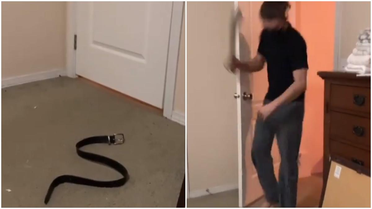 fake snake in viral video major lol