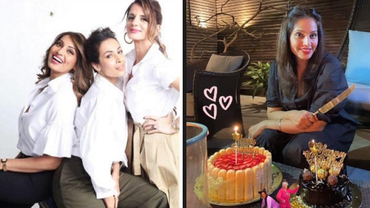 Malaika Aroras Delicious Cake Indulgence Will Send You Drooling - NDTV Food