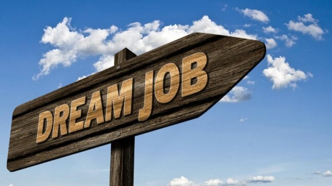 IBPS Recruitment 2021: IT Engineer, Analyst Programmer and other posts available, direct link to apply - Vimarsana News