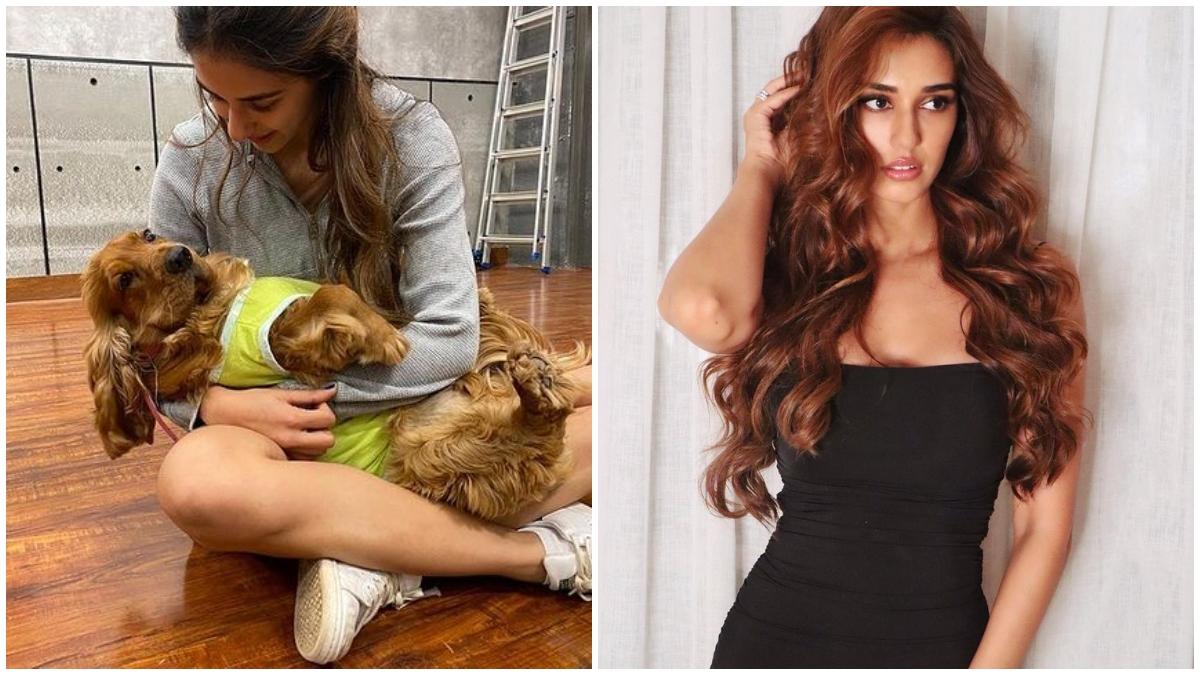 Disha Patani chills with pet doggo at home, but who's this chicken?