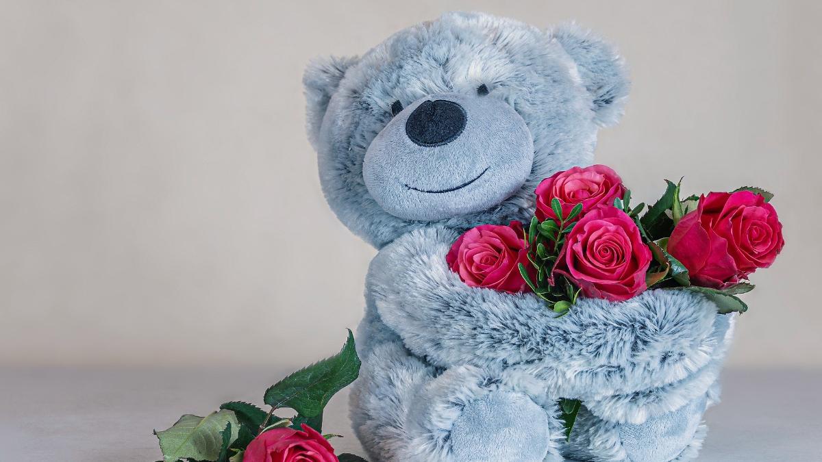 Teddy Day 2021: Know why Teddy Day is celebrated in Valentine's week -  Information News