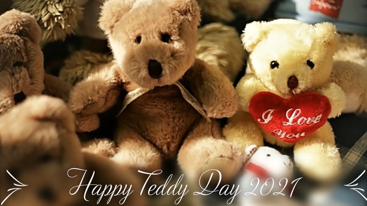 Teddy day today sales