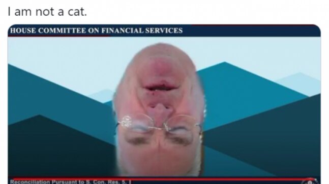 US Congressman goes viral after appearing upside down in meeting. Says, I'm not a cat - Vimarsana News