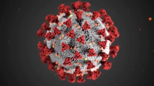How coronavirus causes heart damage in Covid-19 patients, shows new study - Vimarsana News